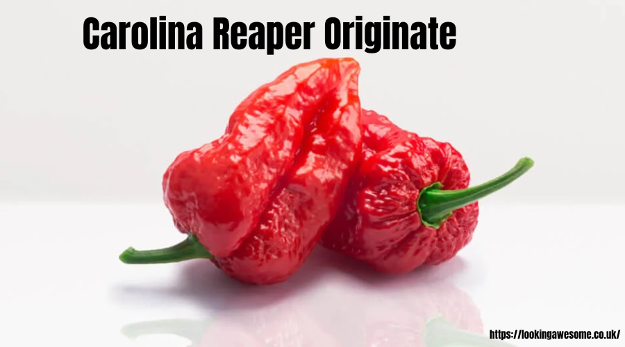 Carolina Reaper Originate