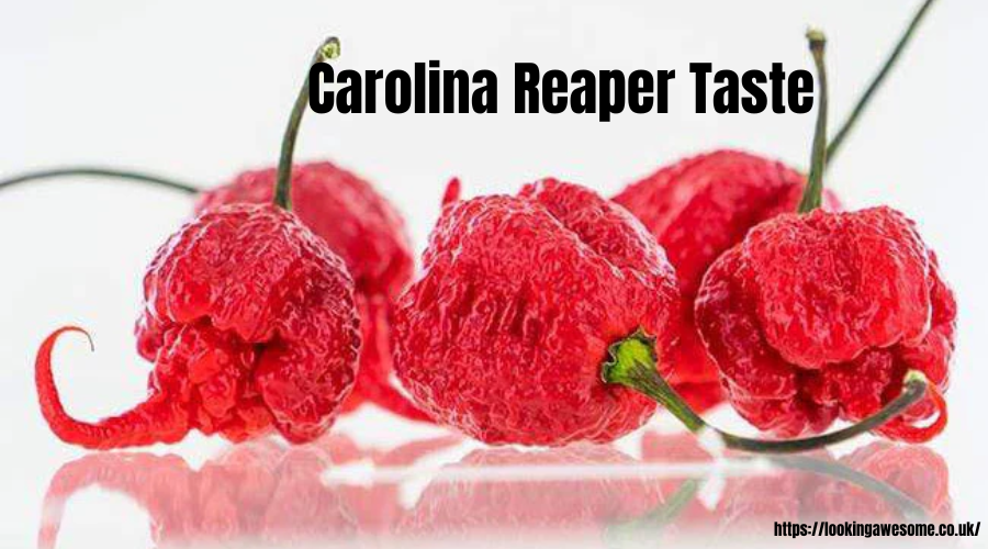 Carolina Reaper Taste