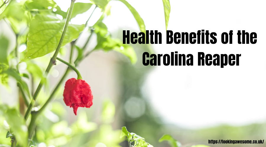 Health Benefits of the Carolina Reaper